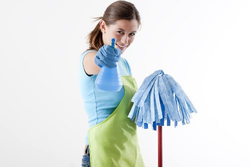 Professional cleaner in Belgravia maintaining a luxury living room