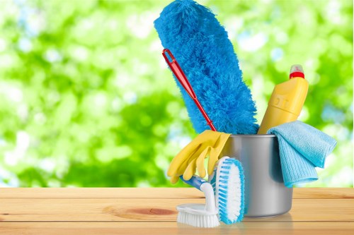 Professional cleaners servicing elegant Belgravia homes