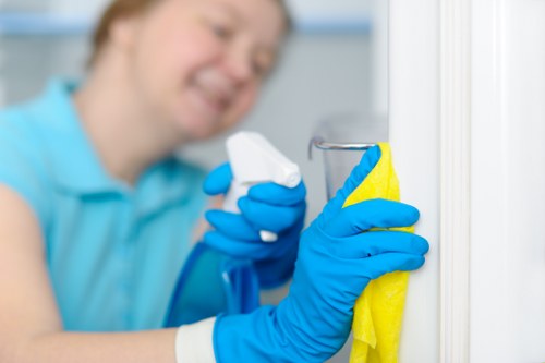 Professional cleaning of renovated rooms in Belgravia