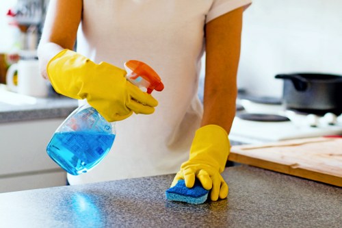 Cleaner preparing premium carpet treatment in an elegant property