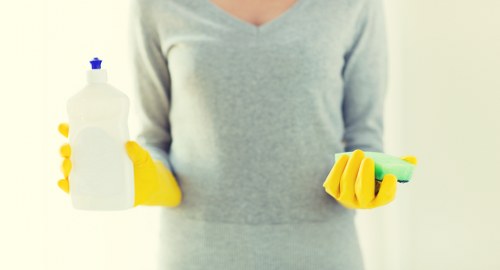 Streak-free window cleaning service for luxury homes