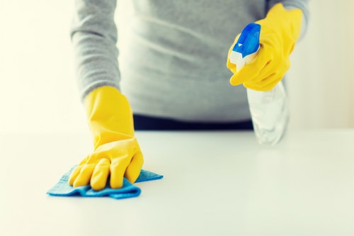 Luxury domestic cleaning service in a Belgravia apartment