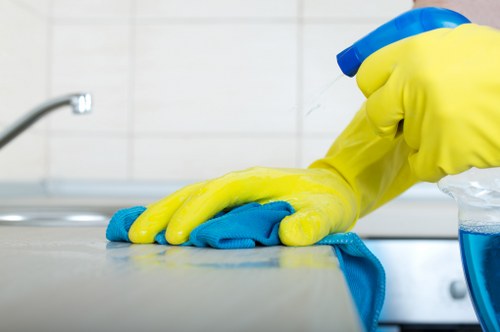 Detailed kitchen cleaning in a Belgravia home interior