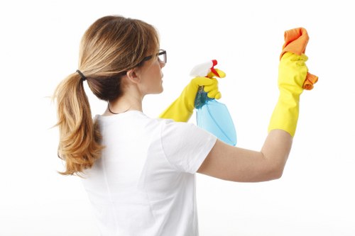 Leather sofa cleaning and conditioning service