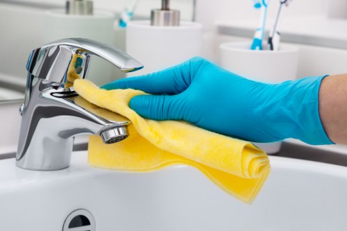 Bathroom deep cleaning for a Belgravia rental property