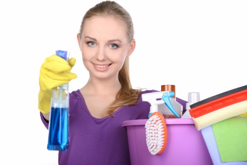 Eco-friendly domestic cleaning for a Belgravia property