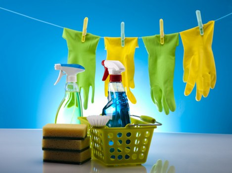 Specialist cleaner maintaining premium interiors in Belgravia